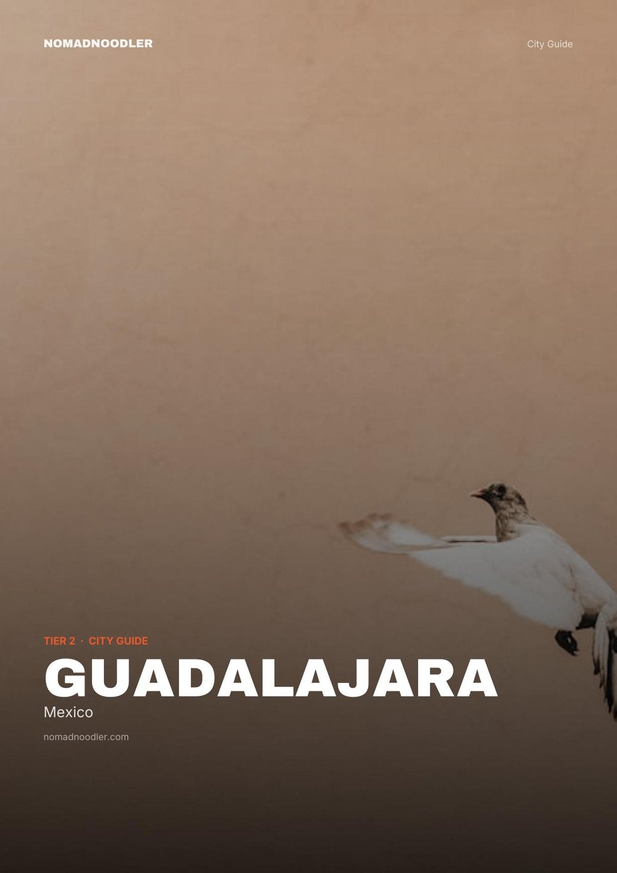 Guadalajara City Guide cover
