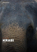 Krabi City Guide cover