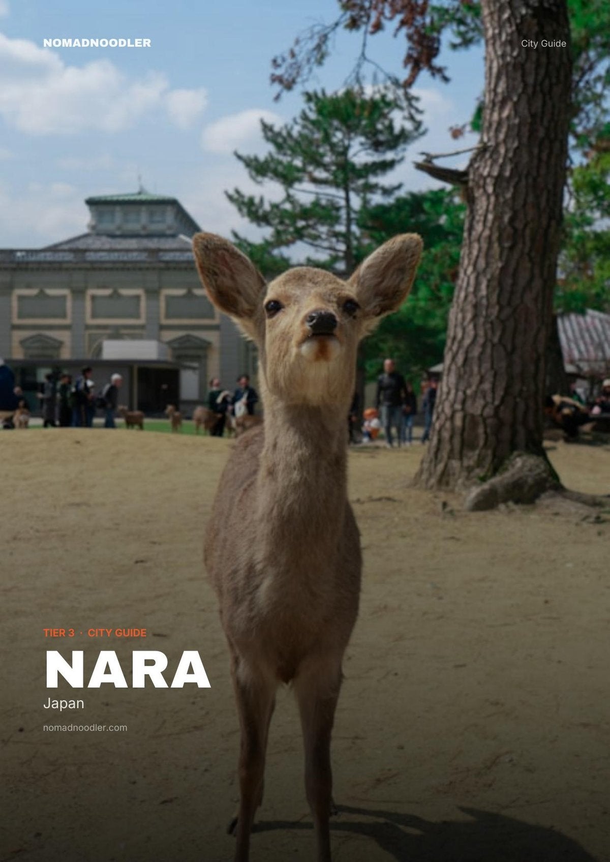 Nara City Guide cover