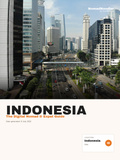 Indonesia Digital Nomad & Expat Guide — NomadNoodler