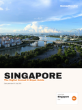 Singapore Digital Nomad & Expat Guide — NomadNoodler