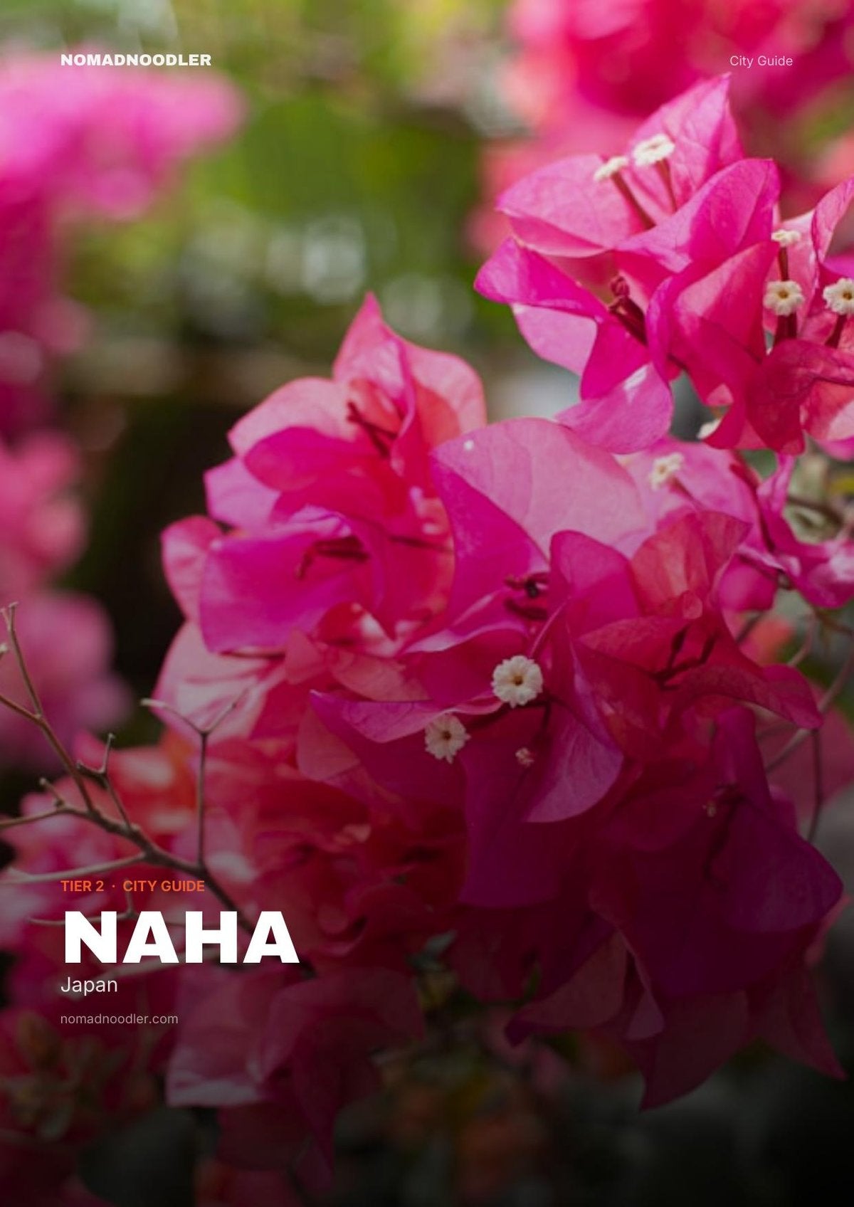 Naha City Guide cover
