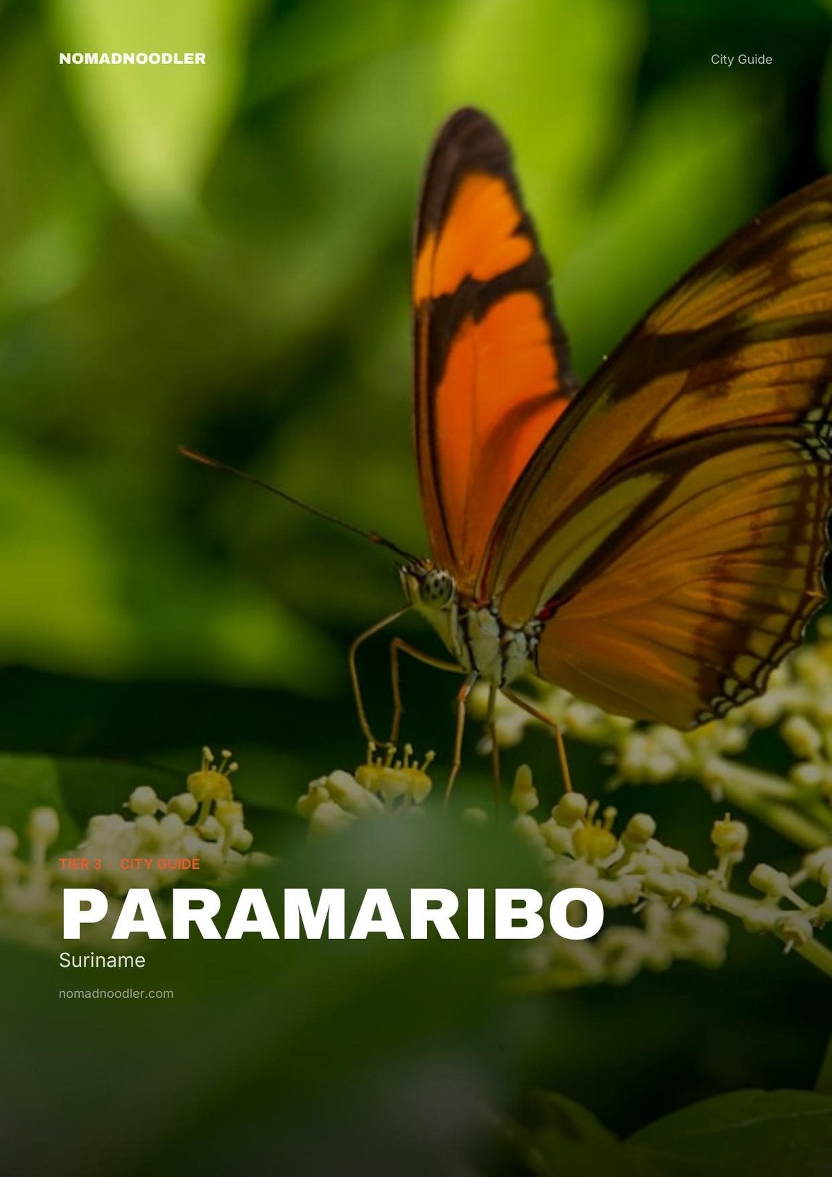 Paramaribo City Guide cover